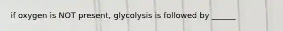 if oxygen is NOT present, glycolysis is followed by ______