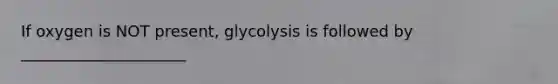 If oxygen is NOT present, glycolysis is followed by _____________________