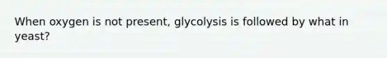 When oxygen is not present, glycolysis is followed by what in yeast?