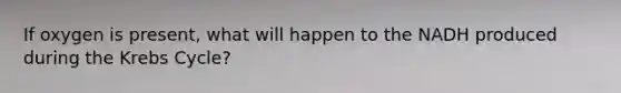 If oxygen is present, what will happen to the NADH produced during the Krebs Cycle?