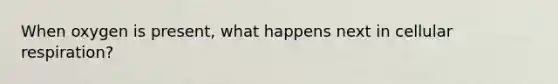 When oxygen is present, what happens next in cellular respiration?