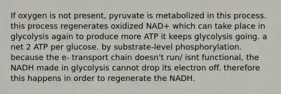 If oxygen is not present, pyruvate is metabolized in this process. this process regenerates oxidized NAD+ which can take place in glycolysis again to produce more ATP it keeps glycolysis going. a net 2 ATP per glucose. by substrate-level phosphorylation. because the e- transport chain doesn't run/ isnt functional, the NADH made in glycolysis cannot drop its electron off. therefore this happens in order to regenerate the NADH.