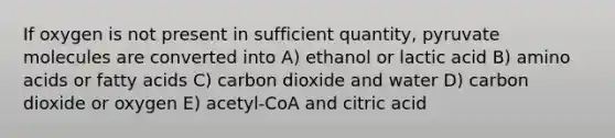 If oxygen is not present in sufficient quantity, pyruvate molecules are converted into A) ethanol or lactic acid B) <a href='https://www.questionai.com/knowledge/k9gb720LCl-amino-acids' class='anchor-knowledge'>amino acids</a> or fatty acids C) carbon dioxide and water D) carbon dioxide or oxygen E) acetyl-CoA and citric acid