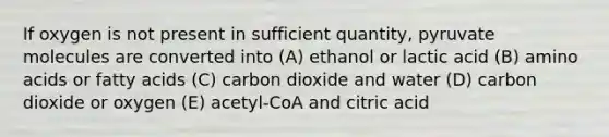 If oxygen is not present in sufficient quantity, pyruvate molecules are converted into (A) ethanol or lactic acid (B) amino acids or fatty acids (C) carbon dioxide and water (D) carbon dioxide or oxygen (E) acetyl-CoA and citric acid