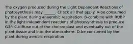 The oxygen produced during the Light Dependent Reactions of photosynthesis may ______. Check all that apply. A-be consumed by the plant during anaerobic respiration. B-combine with RUBP in the light independent reactions of photosynthesis to produce G3P. C-diffuse out of the choloroplast and eventually out of the plant tissue and into the atmosphere. D-be consumed by the plant during aerobic respiration