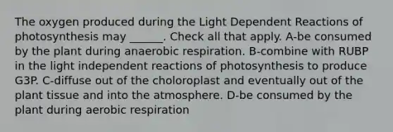 The oxygen produced during the Light Dependent Reactions of photosynthesis may ______. Check all that apply. A-be consumed by the plant during anaerobic respiration. B-combine with RUBP in the light independent reactions of photosynthesis to produce G3P. C-diffuse out of the choloroplast and eventually out of the plant tissue and into the atmosphere. D-be consumed by the plant during aerobic respiration