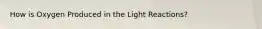 How is Oxygen Produced in the Light Reactions?