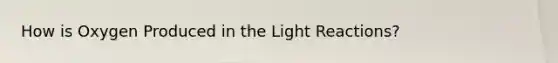 How is Oxygen Produced in the Light Reactions?