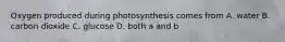 Oxygen produced during photosynthesis comes from A. water B. carbon dioxide C. glucose D. both a and b