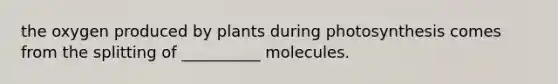 the oxygen produced by plants during photosynthesis comes from the splitting of __________ molecules.