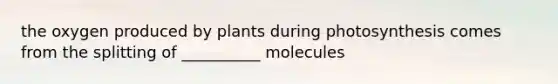 the oxygen produced by plants during photosynthesis comes from the splitting of __________ molecules