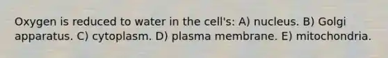 Oxygen is reduced to water in the cell's: A) nucleus. B) Golgi apparatus. C) cytoplasm. D) plasma membrane. E) mitochondria.