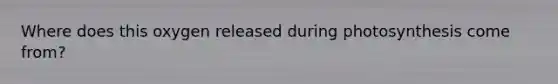 Where does this oxygen released during photosynthesis come from?