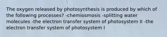 The oxygen released by photosynthesis is produced by which of the following processes? -chemiosmosis -splitting water molecules -the electron transfer system of photosystem II -the electron transfer system of photosystem I