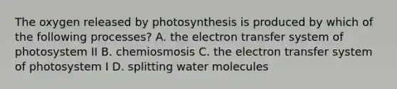 The oxygen released by photosynthesis is produced by which of the following processes? A. the <a href='https://www.questionai.com/knowledge/kzP6QOcY63-electron-transfer' class='anchor-knowledge'>electron transfer</a> system of photosystem II B. chemiosmosis C. the electron transfer system of photosystem I D. splitting water molecules