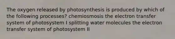 The oxygen released by photosynthesis is produced by which of the following processes? chemiosmosis the electron transfer system of photosystem I splitting water molecules the electron transfer system of photosystem II