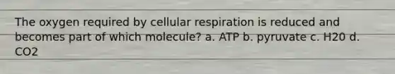 The oxygen required by cellular respiration is reduced and becomes part of which molecule? a. ATP b. pyruvate c. H20 d. CO2