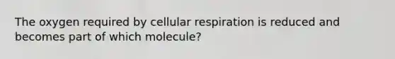 The oxygen required by cellular respiration is reduced and becomes part of which molecule?