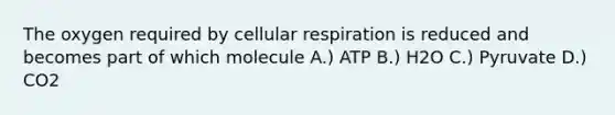 The oxygen required by <a href='https://www.questionai.com/knowledge/k1IqNYBAJw-cellular-respiration' class='anchor-knowledge'>cellular respiration</a> is reduced and becomes part of which molecule A.) ATP B.) H2O C.) Pyruvate D.) CO2