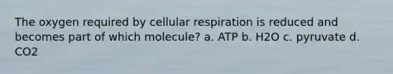 The oxygen required by <a href='https://www.questionai.com/knowledge/k1IqNYBAJw-cellular-respiration' class='anchor-knowledge'>cellular respiration</a> is reduced and becomes part of which molecule? a. ATP b. H2O c. pyruvate d. CO2