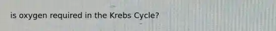 is oxygen required in the <a href='https://www.questionai.com/knowledge/kqfW58SNl2-krebs-cycle' class='anchor-knowledge'>krebs cycle</a>?