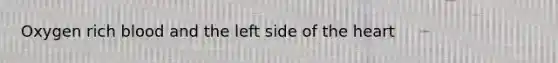 Oxygen rich blood and the left side of the heart