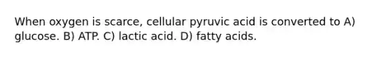 When oxygen is scarce, cellular pyruvic acid is converted to A) glucose. B) ATP. C) lactic acid. D) fatty acids.