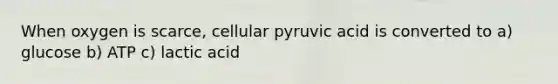 When oxygen is scarce, cellular pyruvic acid is converted to a) glucose b) ATP c) lactic acid