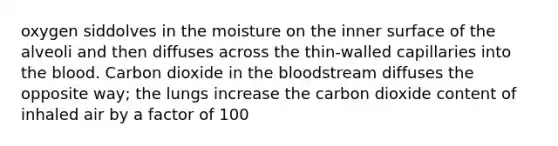 oxygen siddolves in the moisture on the inner surface of the alveoli and then diffuses across the thin-walled capillaries into the blood. Carbon dioxide in the bloodstream diffuses the opposite way; the lungs increase the carbon dioxide content of inhaled air by a factor of 100