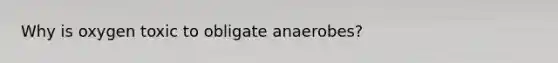 Why is oxygen toxic to obligate anaerobes?