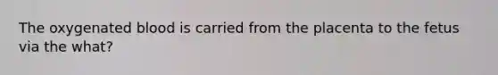 The oxygenated blood is carried from the placenta to the fetus via the what?
