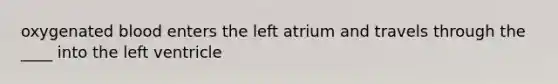 oxygenated blood enters the left atrium and travels through the ____ into the left ventricle