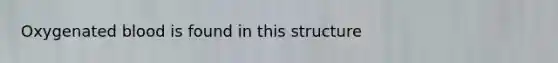 Oxygenated blood is found in this structure