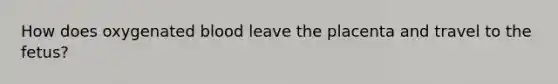 How does oxygenated blood leave the placenta and travel to the fetus?