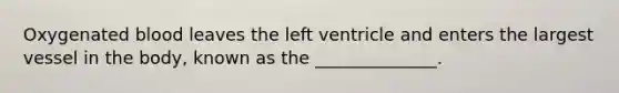 Oxygenated blood leaves the left ventricle and enters the largest vessel in the body, known as the ______________.