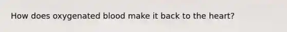 How does oxygenated blood make it back to the heart?