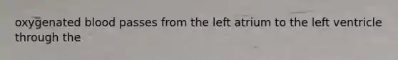 oxygenated blood passes from the left atrium to the left ventricle through the