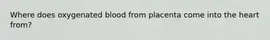 Where does oxygenated blood from placenta come into the heart from?
