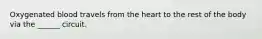 Oxygenated blood travels from the heart to the rest of the body via the ______ circuit.