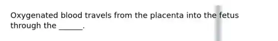 Oxygenated blood travels from the placenta into the fetus through the ______.