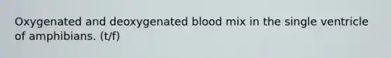 Oxygenated and deoxygenated blood mix in the single ventricle of amphibians. (t/f)