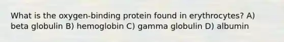 What is the oxygen-binding protein found in erythrocytes? A) beta globulin B) hemoglobin C) gamma globulin D) albumin