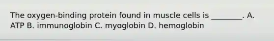 The oxygen-binding protein found in muscle cells is ________. A. ATP B. immunoglobin C. myoglobin D. hemoglobin