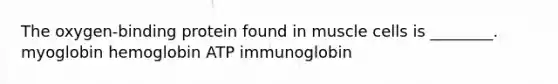 The oxygen-binding protein found in muscle cells is ________. myoglobin hemoglobin ATP immunoglobin