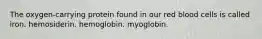 The oxygen-carrying protein found in our red blood cells is called iron. hemosiderin. hemoglobin. myoglobin.