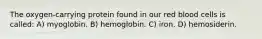 The oxygen-carrying protein found in our red blood cells is called: A) myoglobin. B) hemoglobin. C) iron. D) hemosiderin.