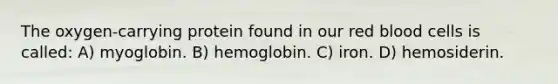 The oxygen-carrying protein found in our red blood cells is called: A) myoglobin. B) hemoglobin. C) iron. D) hemosiderin.