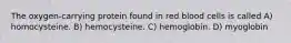 The oxygen-carrying protein found in red blood cells is called A) homocysteine. B) hemocysteine. C) hemoglobin. D) myoglobin