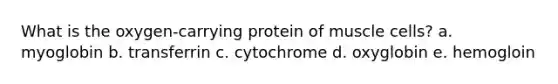 What is the oxygen-carrying protein of muscle cells? a. myoglobin b. transferrin c. cytochrome d. oxyglobin e. hemogloin