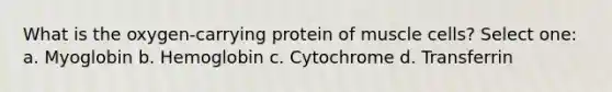 What is the oxygen-carrying protein of muscle cells? Select one: a. Myoglobin b. Hemoglobin c. Cytochrome d. Transferrin